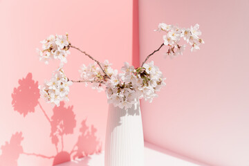 Cherry blossoms in a white vase in front of a pink background. © Jun