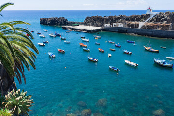 Obraz premium Camara de Lobos harbor and plants, Madeira island 