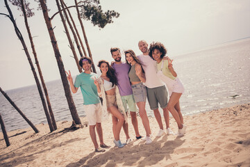 Photo of six people gathering cuddle posing show v-sign enjoy summer wear casual outfit nature seaside beach