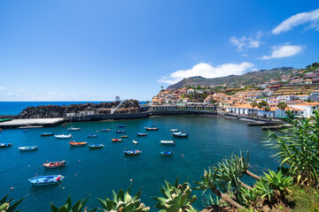 Naklejka na ściany i meble Camara de Lobos harbor and plants, Madeira island 