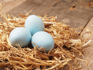 With natural dyes self-dyed organic eggs in a straw nest