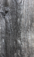 texture of an old wooden board
