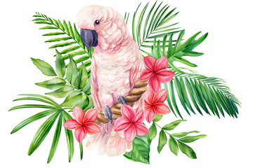 Floral exotic illustration with pink cockatoo parrot, tropical leaves, plumeria flowers. watercolor bird