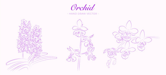 Orchid floral outline drawing illustration vector
