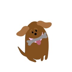 dog brown with bone.  pet friend of man