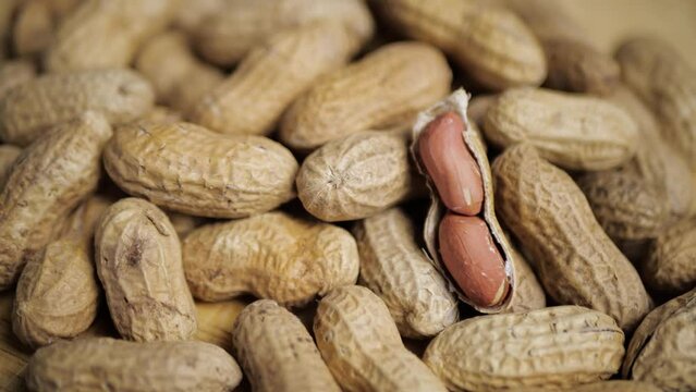 Raw peanuts and one open nut. Tilt movement.
