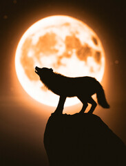 Wolf howling at the moon,3d illustration
- 495913160