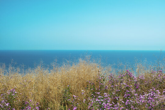Seascape of cape Fiolent, Crimea, Ukraine in summer. Travel, annexation concept. 