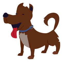 Cute little dog with tongue out. Happy puppy in collar