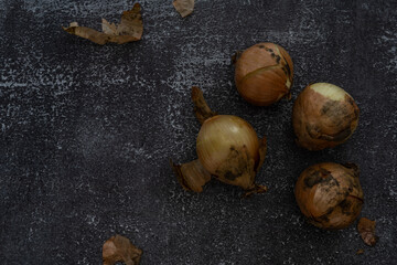 Onions lying on a rustic background, with empty space on left side for text. Still life food photography