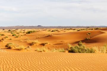 Fototapeta na wymiar Beautiful sand dunes in the Sahara desert. Dune waves and sand pattern.