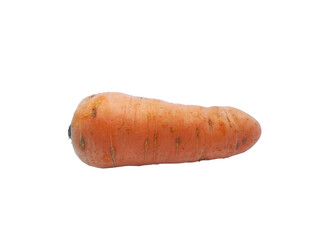 carrot isolated on white
