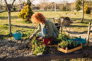 woman growing organic vegetables in her backyard