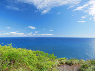 Fototapeta na wymiar ハワイ、オアフ島、マカプー岬への道から見る太平洋