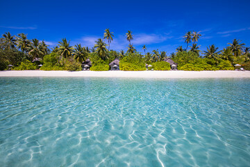 Beach nature concept. Palm beach in tropical idyllic paradise island. Exotic landscape for dreamy...
