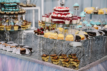 Sweet table. A plates of cakes and muffins. Table with sweets, buffet. Dessert table for a party goodies. Party reception, decorated delicious in restaurant. Candy bar.