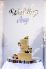 Delicious wedding reception. Cake on a background party decor. Copy space. Celebration concept. Trendy Cake. Wedding day text.
