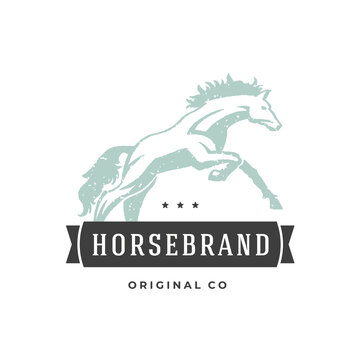 Horse hand drawn logo isolated on white background vector illustration for labels, badges, t-shirt and other design.