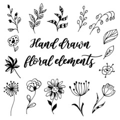 Vector hand drawn set of floral elements