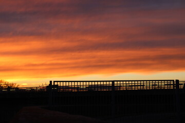 Fototapeta na wymiar sun sunset sundown sky clouds