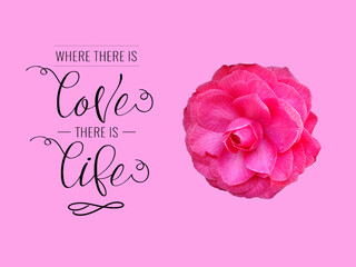 Pink card with flower Camellia japonica and text 'Where there is love, there is life.