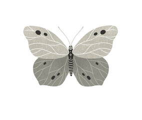 big beautiful exotic butterfly, moth with texture, hand drawing - 495920129