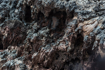 Detalle de textura de una roca de color marón oscuro. Fondo de textura rocosa con diferentes tonalidades de marrón.