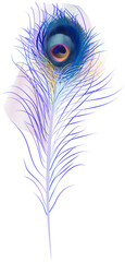 digital Illustration representing fantastic blue bird feather
