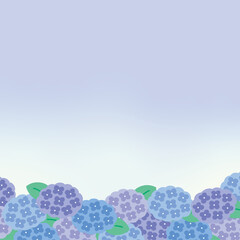 紫陽花の背景イラスト　正方形