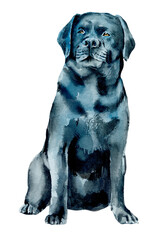 Big Black Labrador. Portrait dog. Watercolor hand drawn illustration