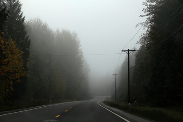 Landstra&szlig;e im Nebel durch einen Wald, Washington, USA