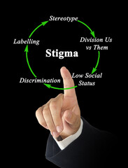 Components of cycle of stigma