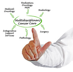 Elements of Multidisciplinary Cancer Care.