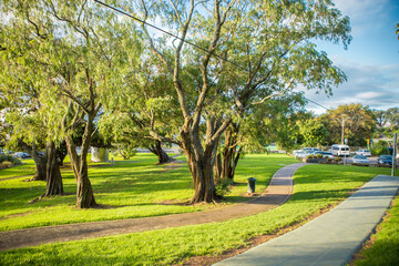 Tahaki Reserve, Auckland, New Zealand