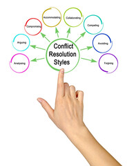 Eight Styles of Conflict Resolution .