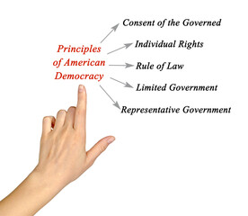 Five Principles of American Democracy