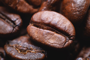 Close up extreme macro group of roasted brown or black coffee beans background in shallow depth of field. Enchanting coffee aroma