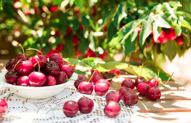 Delicious cherry in a white vase