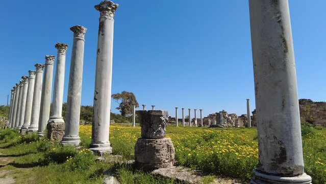 Salamis is an ancient Greek city-state on the east coast of Cyprus, at the mouth of the river Pedieos, 6 km north of modern Famagusta. 