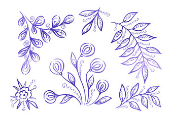 Set violet flower and leave on white bbackground. Provence illustration. Campanula and dandelion flower and tropical leaves