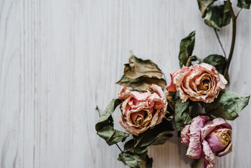 Dried flowers. Flowers composition made of dried rose on white wooden background. Flat lay, top...