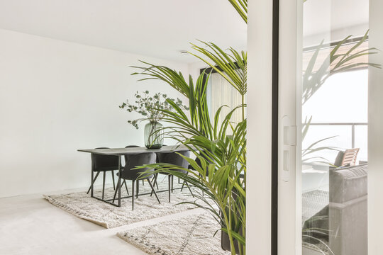 Living room with plants and table with chairs