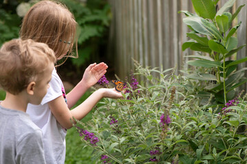 child releasing monarch butterfly