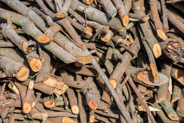 Pile of timber firewood preparation for the winter.