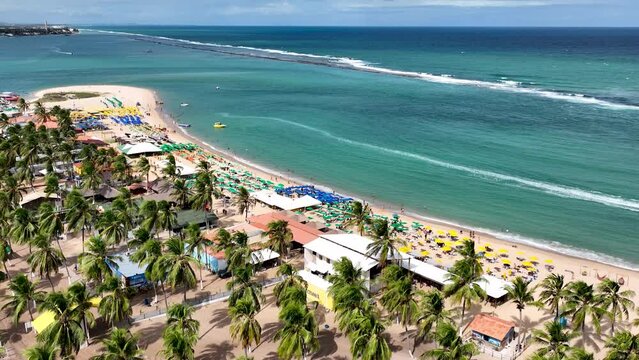 Gunga Beach tropical tourism landmark at Maceio Alagoas Brazil. Landmark beach at Northeast Brazil. Tropical travel. Travel destination.