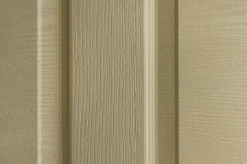 Obraz premium Modern wooden door design interior decoration style element background