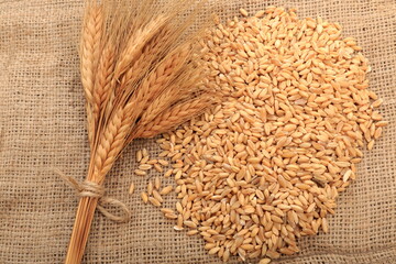 A composition view with ears of wheat and grains of wheat.