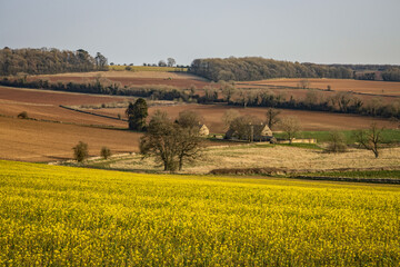The Arrival Of Spring