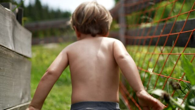 One little boy running outside in home garden child runs in underwear
