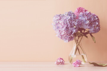 Blue and pink hydrangea blooming flower bouquet. Spring floral background. Selective focus.
